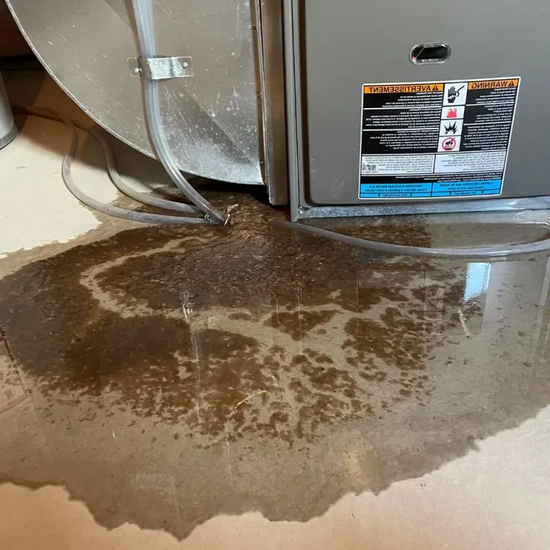 Pipe Burst and Leak Restoration in Union City, NJ