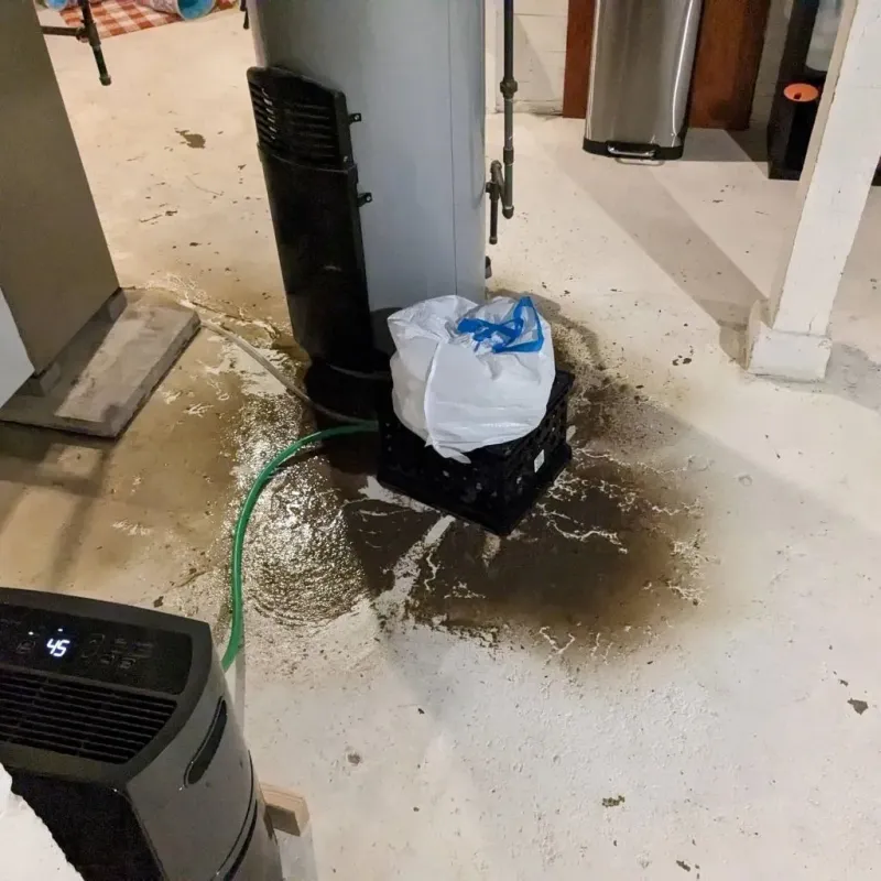 Sewage Backup Cleanup Service in Union City, NJ